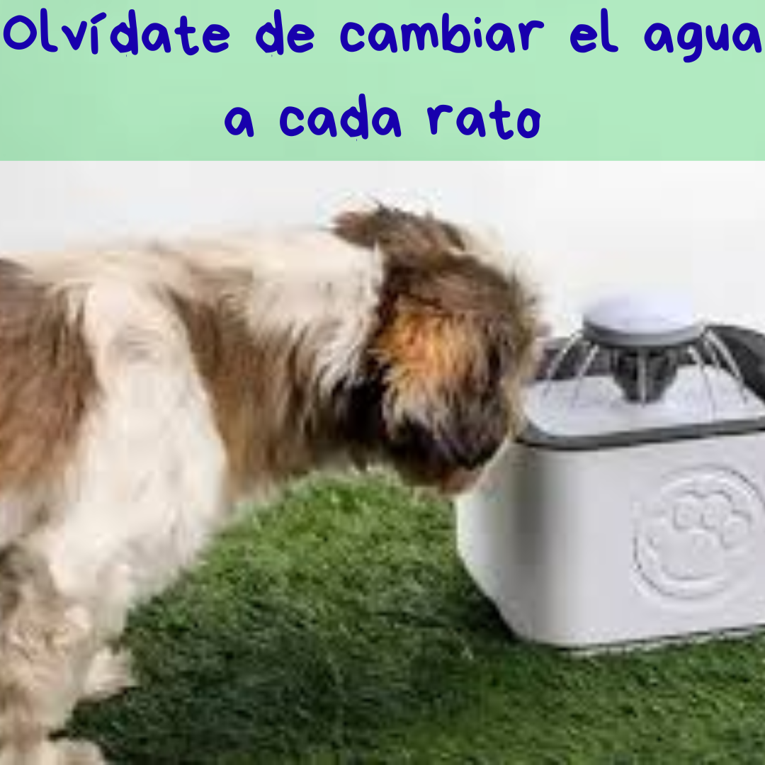 BEBEDERO AUTOMÁTICO DE MASCOTAS😺